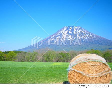 北海道の絶景 ニセコ高橋牧場からの羊蹄山風景 北海道の絶景 ニセコ高橋牧場からの羊蹄山風景 89975351