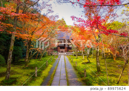 秋の酬恩庵,一休寺 本堂参道(京都府京田辺市) 89975624