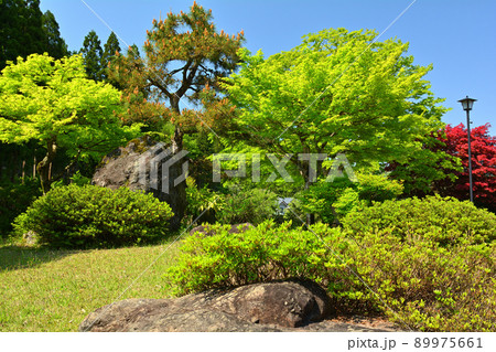 日本100名城・一乗谷城(一乗谷レストラント) 日本100名城・一乗谷城(一乗谷レストラント) 89975661