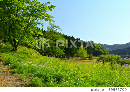 日本100名城・一乗谷城 89975709