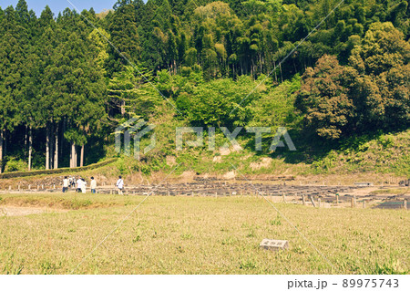 日本100名城・一乗谷城 89975743