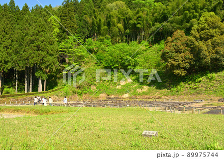 日本100名城・一乗谷城 89975744