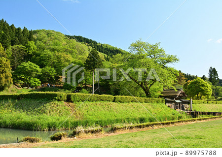 日本100名城・一乗谷城 日本100名城・一乗谷城 89975788
