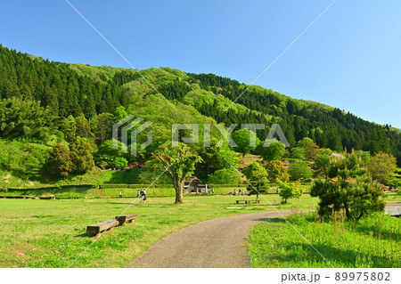 日本100名城・一乗谷城 89975802