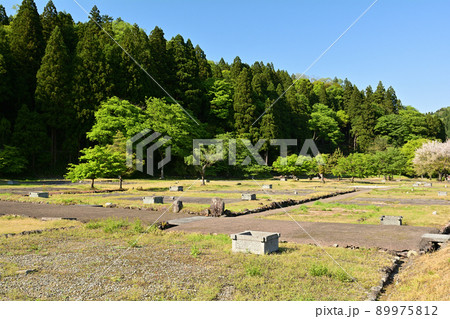 日本100名城・一乗谷城 日本100名城・一乗谷城 89975812