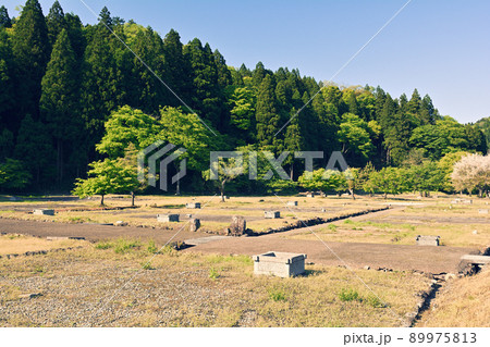 日本100名城・一乗谷城 89975813