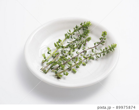 穂紫蘇 穂紫蘇 89975874