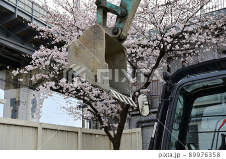ショベルカーとサクラ 89976358