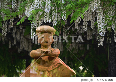 巫女とフジ 巫女とフジ 89976366