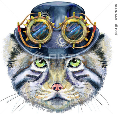 Watercolor portrait of a Manul Cat in steampunk hat with goggles on white background Watercolor portrait of a Manul Cat in steampunk hat with goggles on white background 89976440