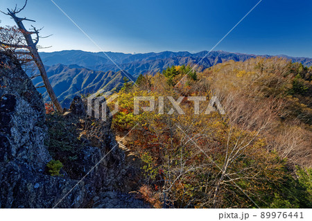 紅葉の両神山山頂から見る奥秩父の山並みと富士山 89976441