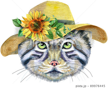 Watercolor portrait of a Manul Cat in summer hat on white background 89976445