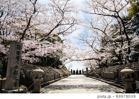 桜名所の比治山公園にある旧陸軍墓地です。西南戦争から2次大戦前までの戦没者を弔っています。広島県 89978039