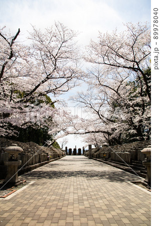 桜名所の比治山公園にある旧陸軍墓地です。西南戦争から2次大戦前までの戦没者を弔っています。広島県 89978040