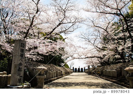桜名所の比治山公園にある旧陸軍墓地です。西南戦争から2次大戦前までの戦没者を弔っています。広島県 89978043