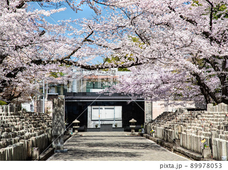 桜名所の比治山公園にある旧陸軍墓地です。西南戦争から2次大戦前までの戦没者を弔っています。広島県 89978053
