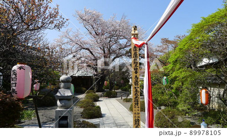 薬師院 医王寺 相模薬師如来二十一霊場 薬師院 医王寺 相模薬師如来二十一霊場 89978105