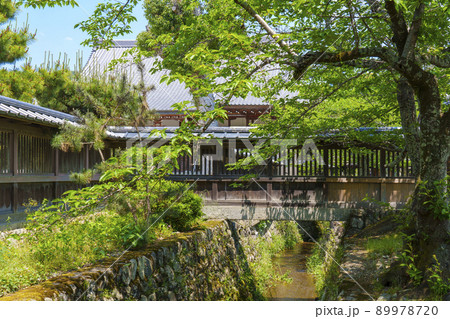 大覚寺 お堀 大沢池参拝口から(2022年 新緑の季節) 大覚寺 お堀 大沢池参拝口から(2022年 新緑の季節) 89978720