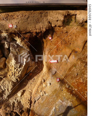 丹那断層公園　国の天然記念物・丹那断層 89978945