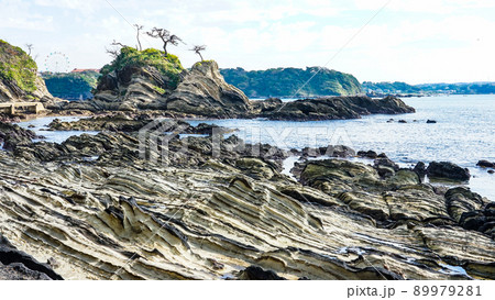 荒崎海岸 磯の奇岩(神奈川県横須賀市荒崎公園) 荒崎海岸 磯の奇岩(神奈川県横須賀市荒崎公園) 89979281