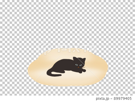 Black cat and sofa 89979405