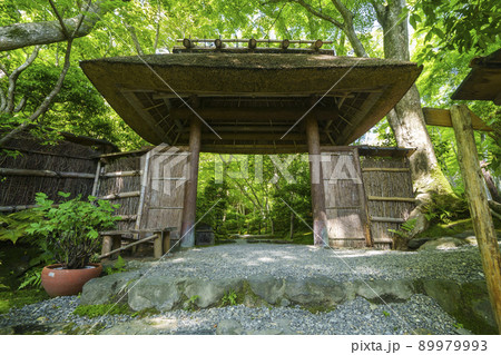 京都　祇王寺　山門（2022年　新緑の季節） 89979993