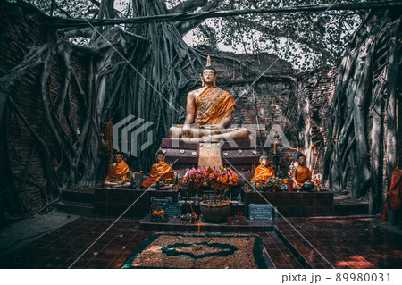 Wat Sai temple ruin covered by banyan tree roots, in Sing Buri Thailand Wat Sai temple ruin covered by banyan tree roots, in Sing Buri Thailand 89980031