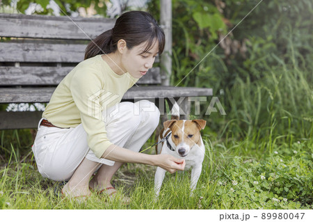 公園で犬と戯れる女性 89980047
