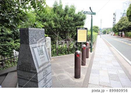 山手本通り 山手本通り 89980956