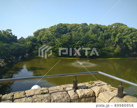 上から眺める景色 89980958