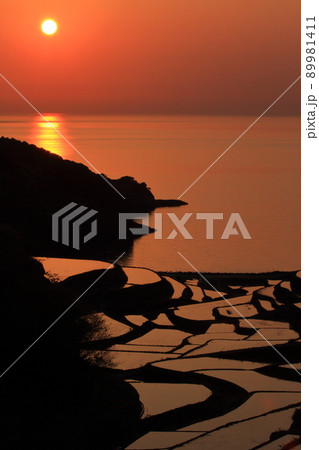 玄界灘の夕日にオレンジ色に染まった浜野浦の棚田の美しい風景(佐賀県玄海町) 玄界灘の夕日にオレンジ色に染まった浜野浦の棚田の美しい風景(佐賀県玄海町) 89981411