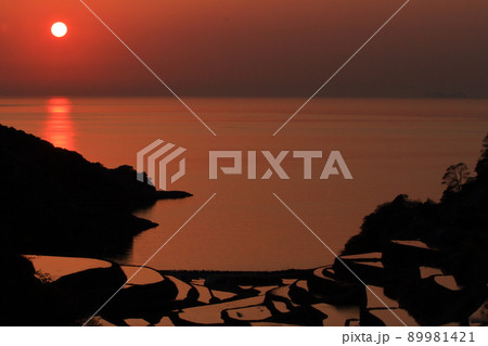 玄界灘の夕日にオレンジ色に染まる浜野浦の棚田の風景（佐賀県玄海町） 89981421