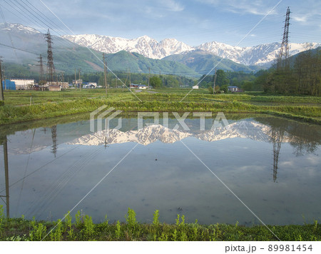 朝霧かかる水田の水面に映る白馬三山　長野県白馬村（ドローンによる空撮） 89981454
