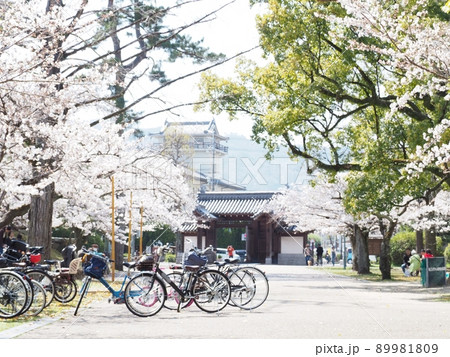 穏やかな日の桜と、自転車 穏やかな日の桜と、自転車 89981809