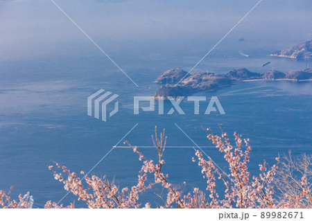 瀬戸内しまなみ海道・岩城島　積善山三千本桜 89982671
