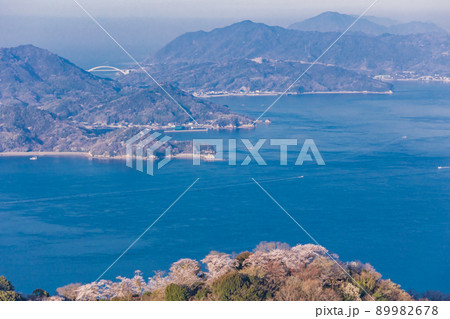 瀬戸内しまなみ海道・岩城島　積善山三千本桜 89982678