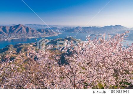 瀬戸内しまなみ海道・岩城島 積善山三千本桜 瀬戸内しまなみ海道・岩城島 積善山三千本桜 89982942