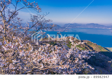 瀬戸内しまなみ海道・岩城島　積善山三千本桜 89982947