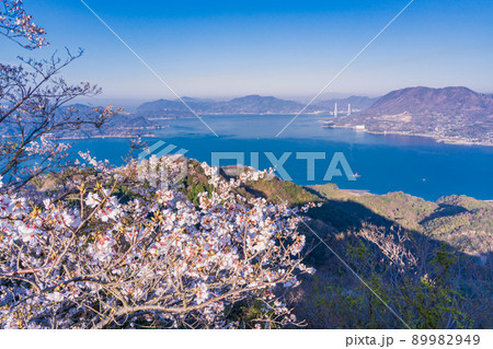 瀬戸内しまなみ海道・岩城島 積善山三千本桜 瀬戸内しまなみ海道・岩城島 積善山三千本桜 89982949