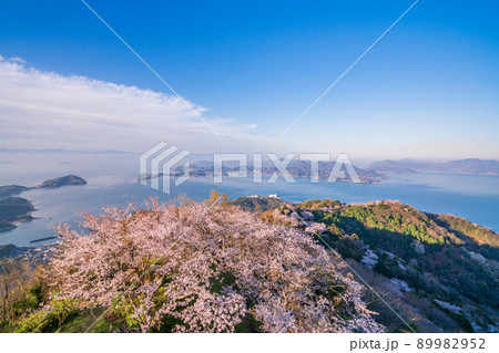 瀬戸内しまなみ海道・岩城島 積善山三千本桜 瀬戸内しまなみ海道・岩城島 積善山三千本桜 89982952