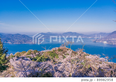 瀬戸内しまなみ海道・岩城島 積善山三千本桜 瀬戸内しまなみ海道・岩城島 積善山三千本桜 89982958
