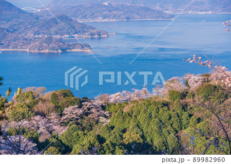 瀬戸内しまなみ海道・岩城島　積善山三千本桜 89982960