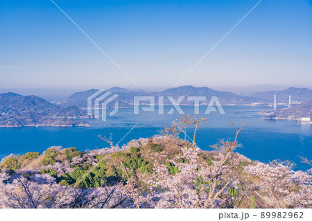 瀬戸内しまなみ海道・岩城島　積善山三千本桜 89982962
