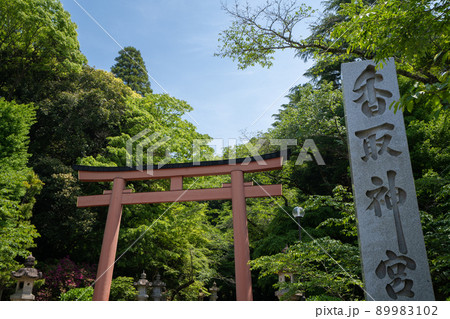 香取神宮＜千葉県香取市/4月＞ 89983102