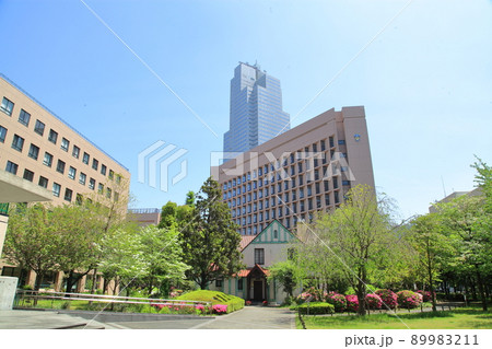 聖路加国際病院　旧館から見た本館 89983211