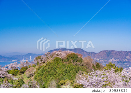 瀬戸内しまなみ海道・岩城島　積善山三千本桜（後方に多々羅大橋） 89983335