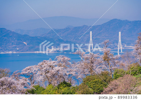 瀬戸内しまなみ海道・岩城島　積善山三千本桜（後方に多々羅大橋） 89983336
