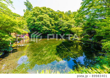 富士山本宮浅間大社 富士山本宮浅間大社 89983401