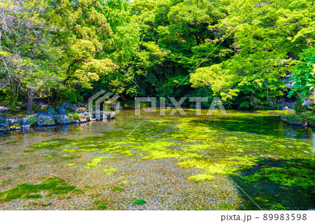 富士山本宮浅間大社 89983598