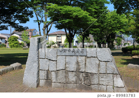 中野中央公園（君津市） 89983783